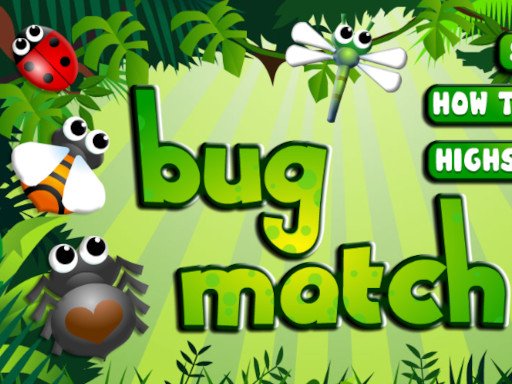 Bug Match Game